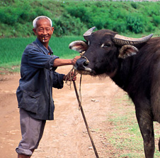 小型飼料顆粒機(jī),農(nóng)民圓夢！